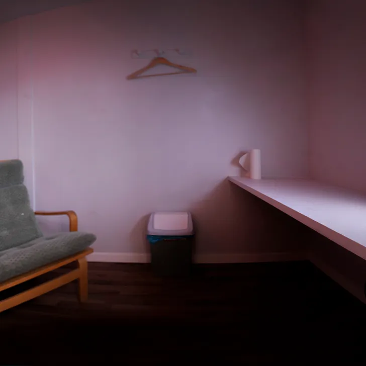 Privat porrbio på Sexgrottan i Malmö